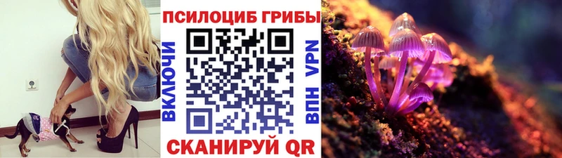 Галлюциногенные грибы GOLDEN TEACHER  как найти наркотики  Новосибирск 