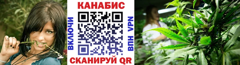 Бошки марихуана план где купить наркоту Новосибирск